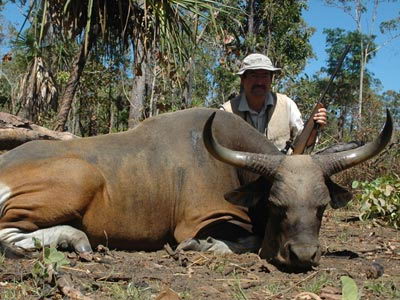 endangered species list 2011 - Banteng