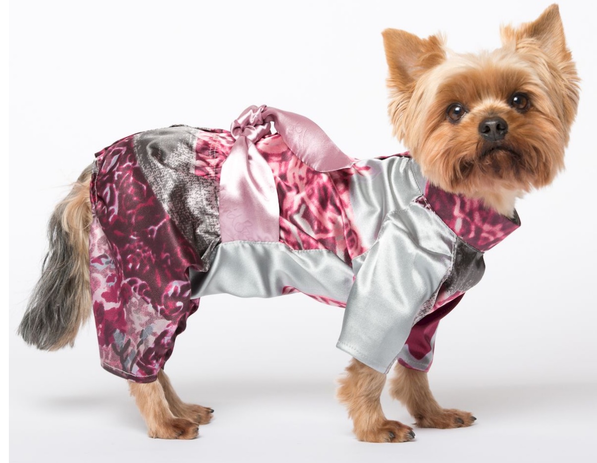 types of clothing for dog